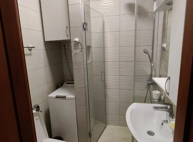 Djurdja * 노비사드